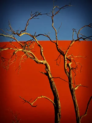 Namibia