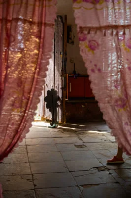 Tao of Cuba, 2025