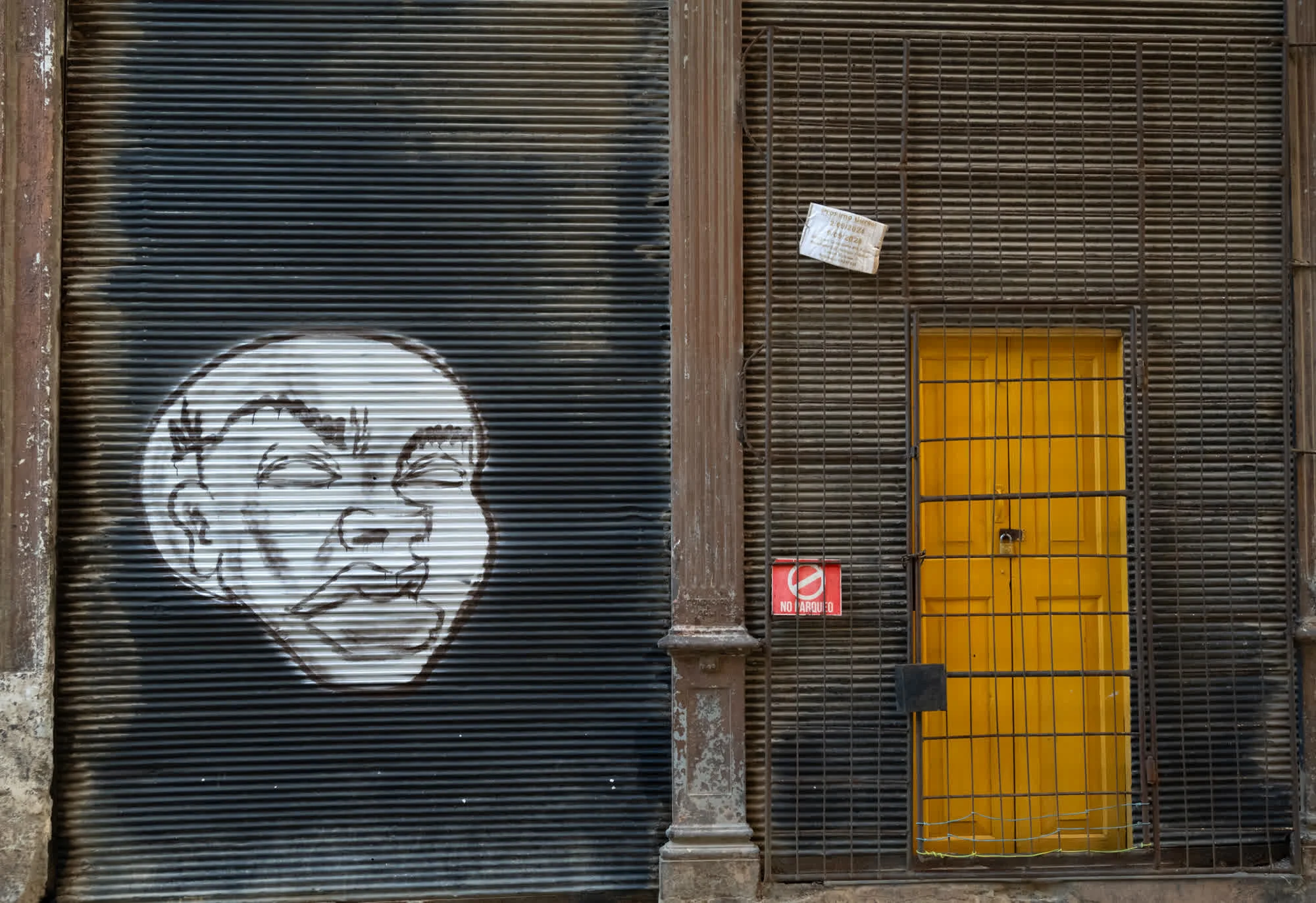Tao of Cuba, 2025