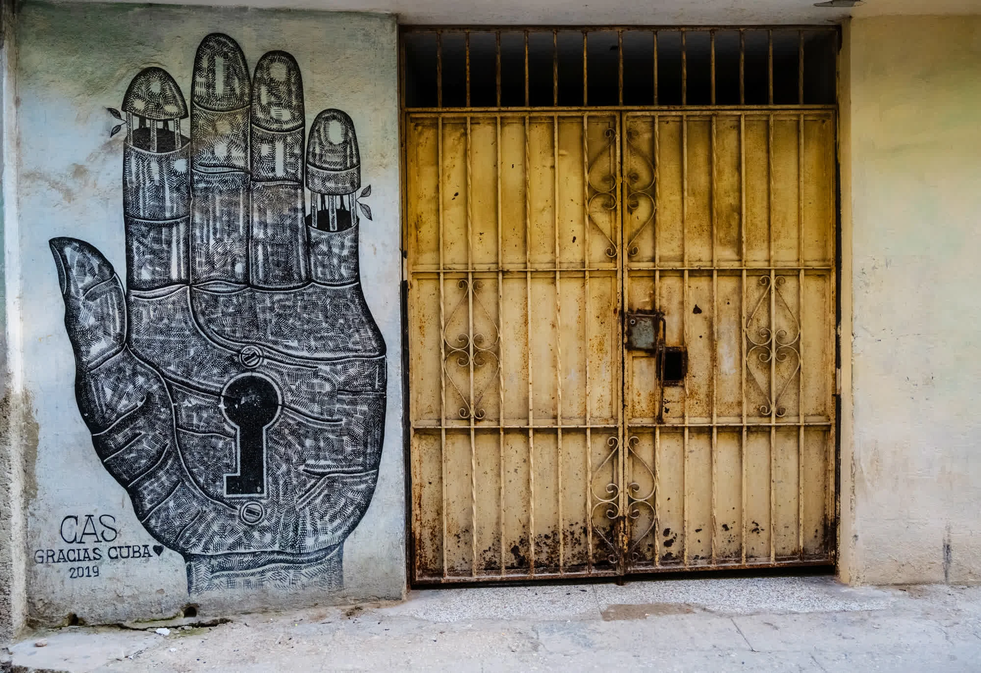Tao of Cuba, 2025