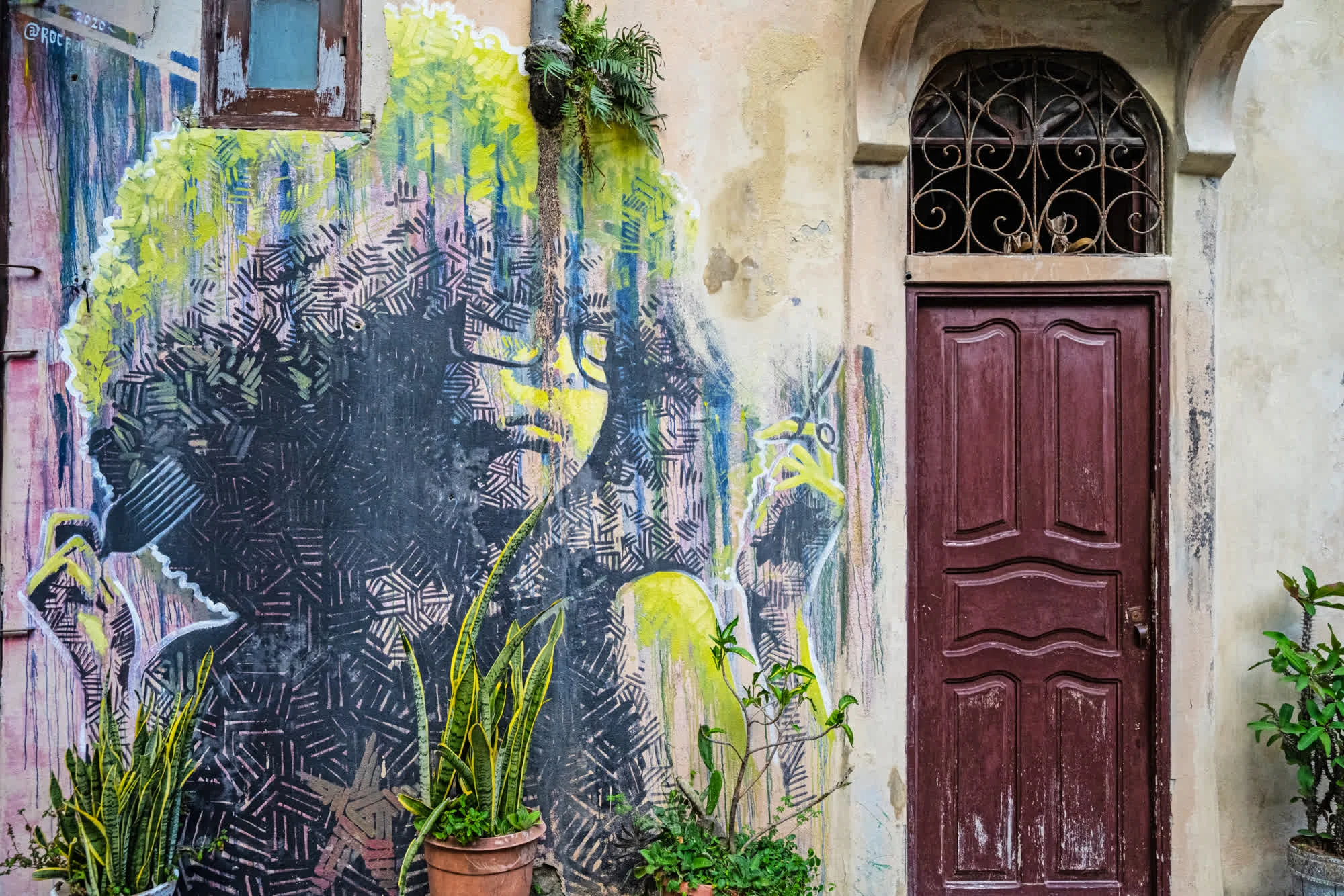 Tao of Cuba, 2025