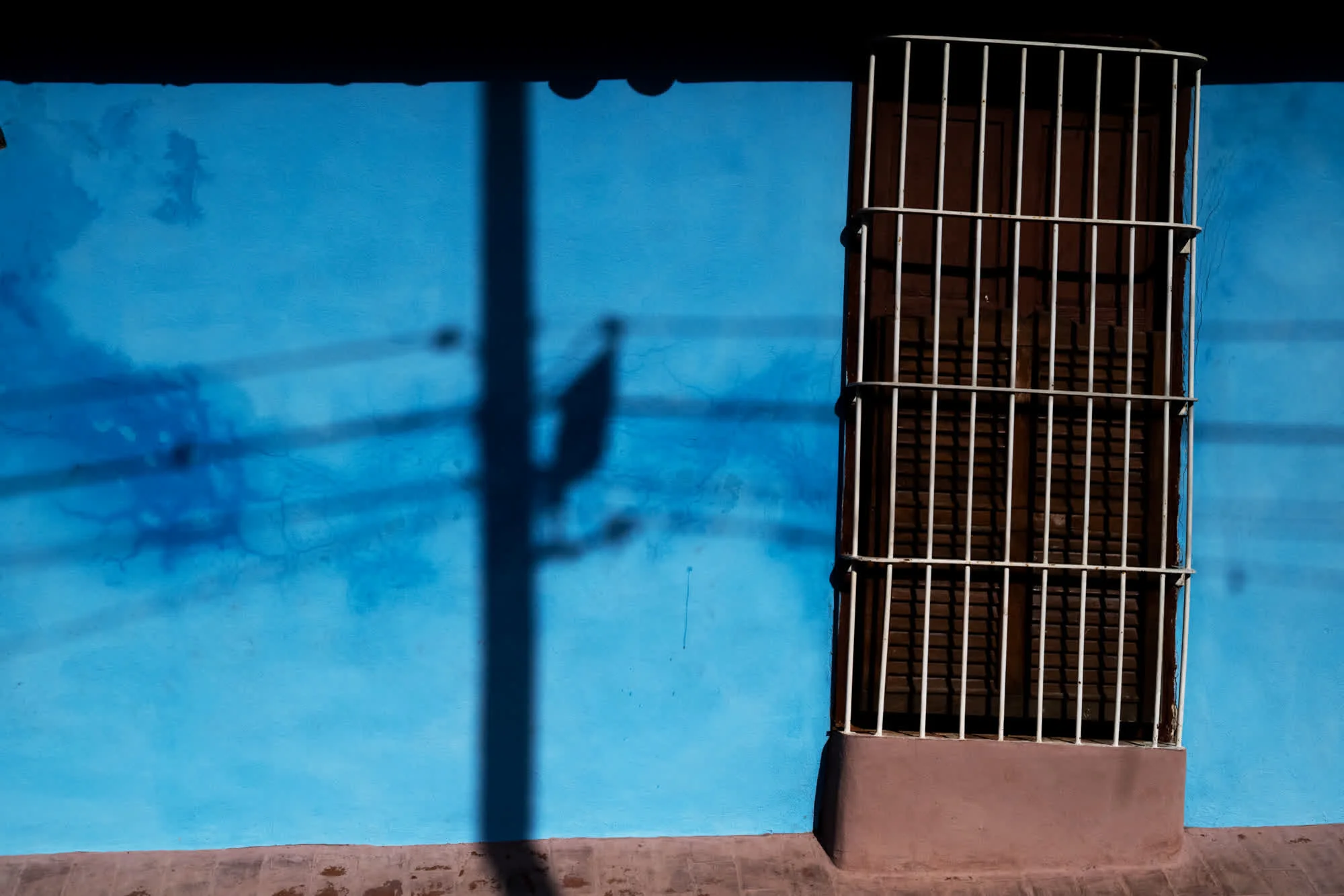 Tao of Cuba, 2025