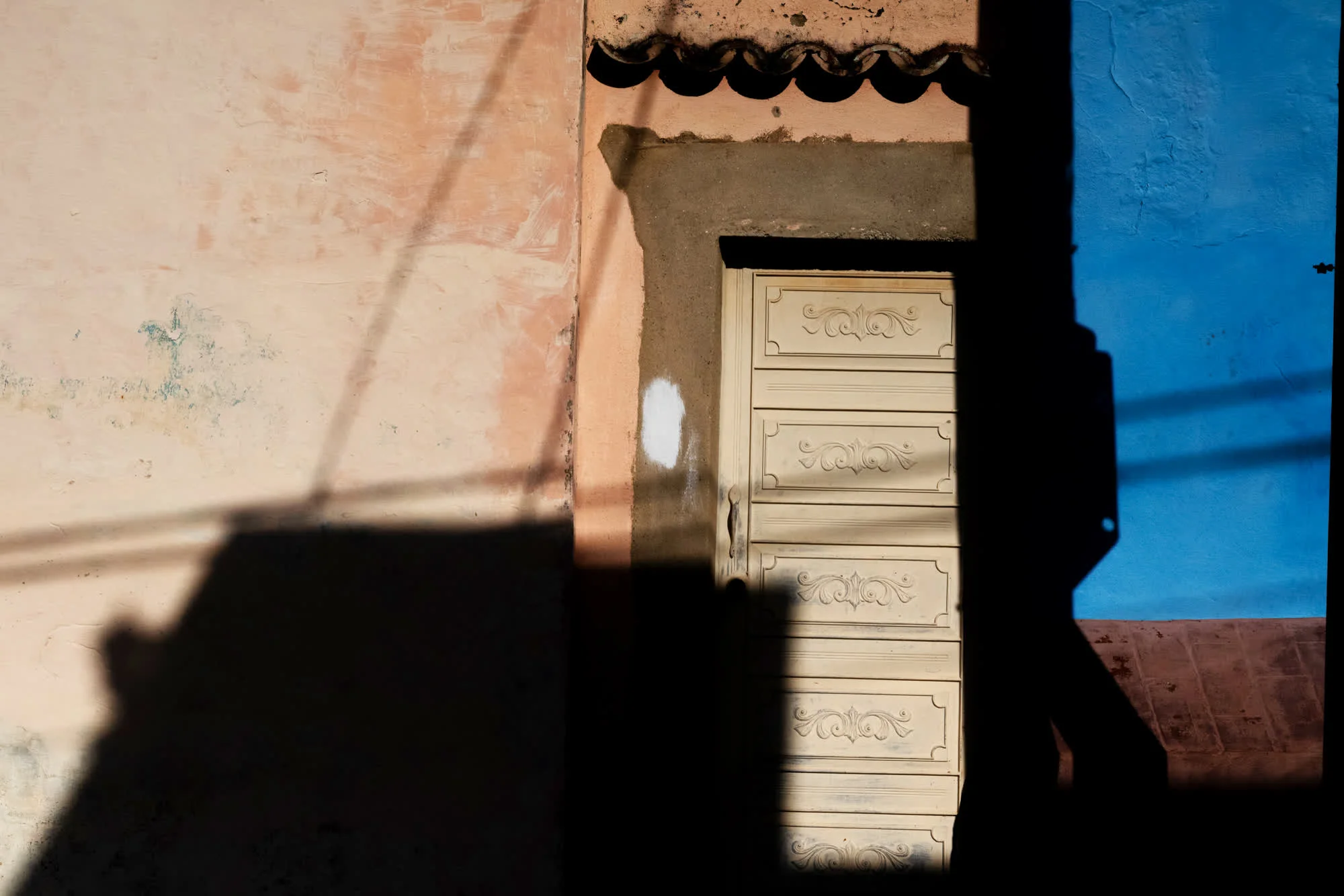 Tao of Cuba, 2025