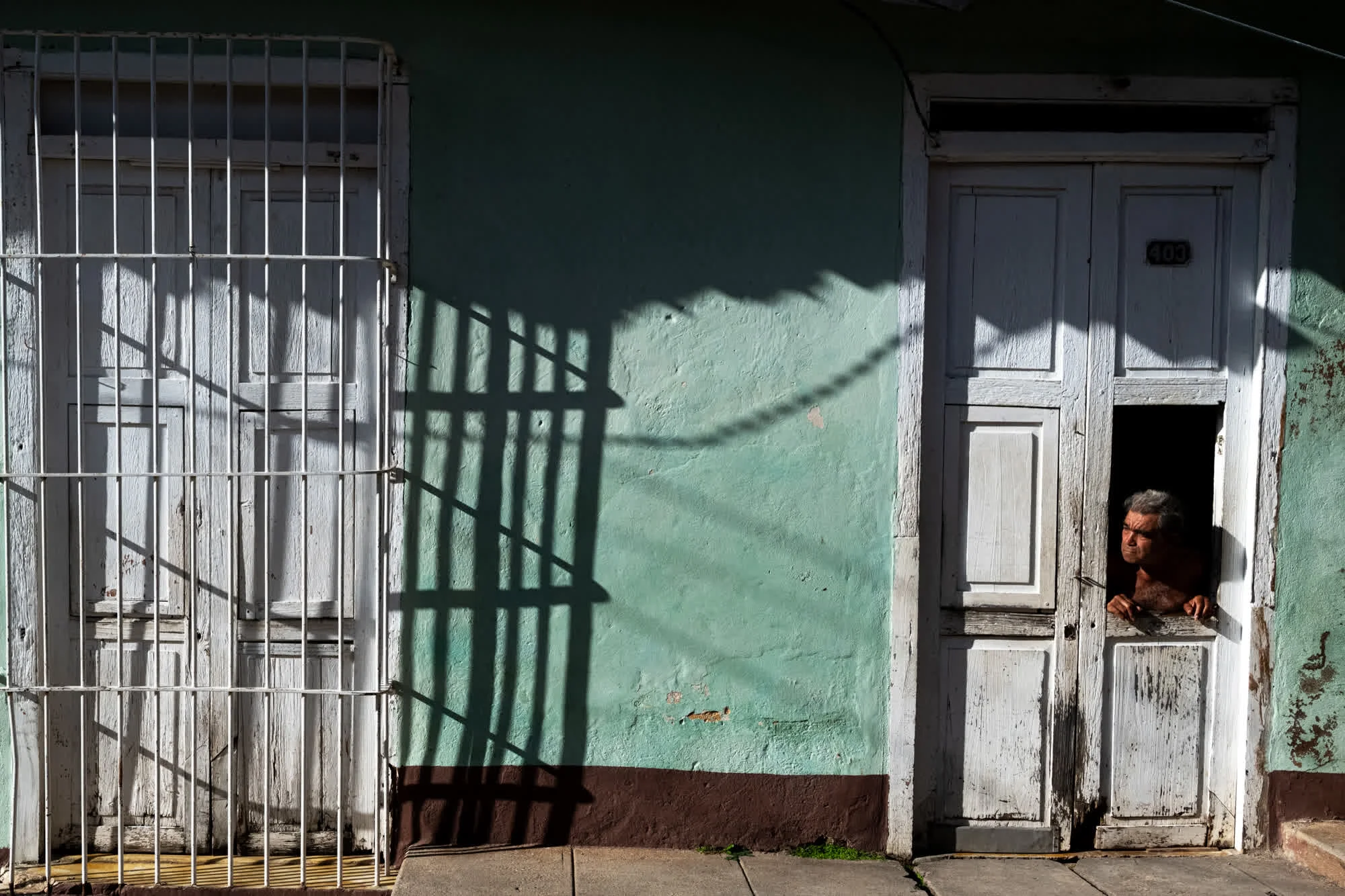 Tao of Cuba, 2025