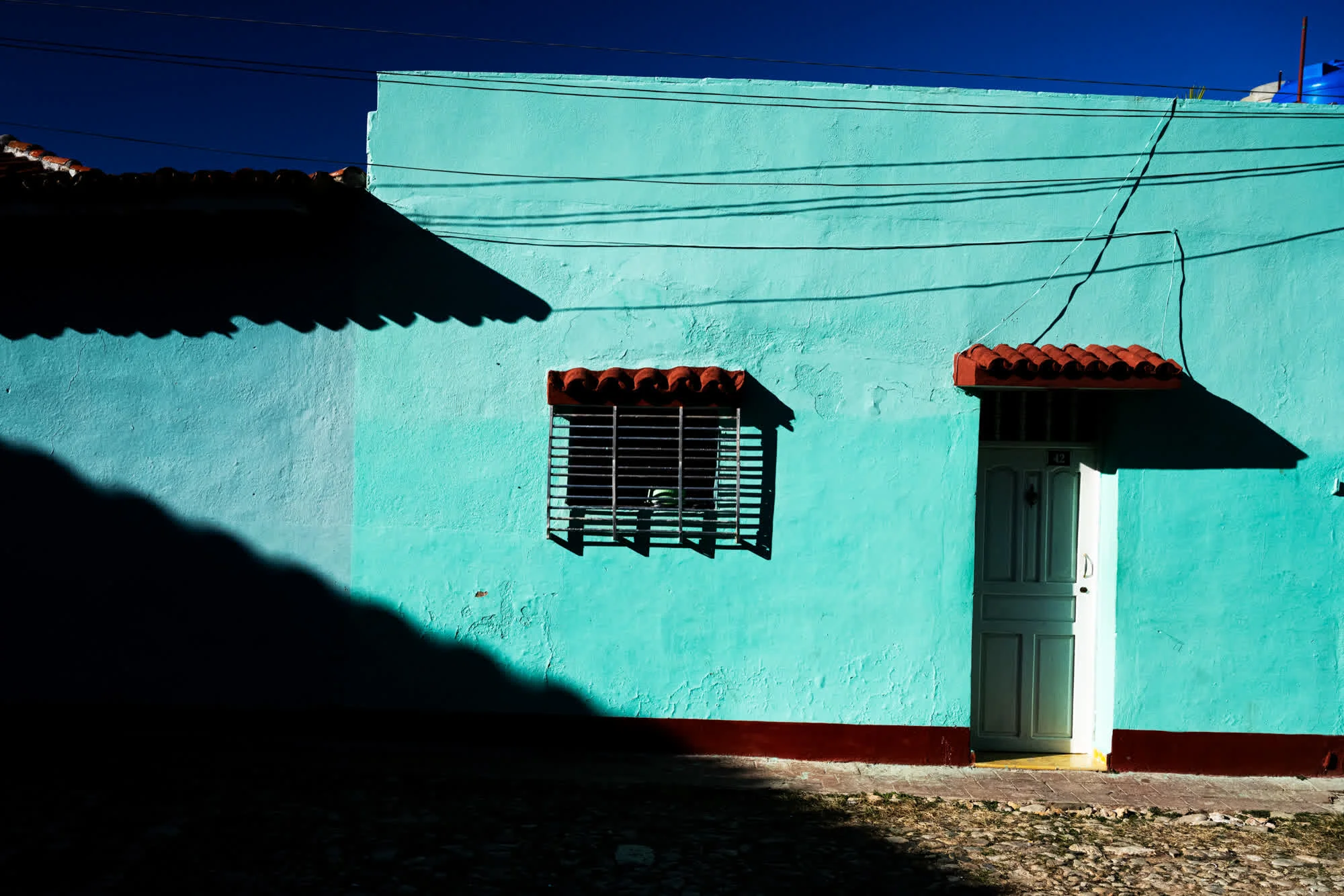 Tao of Cuba, 2025