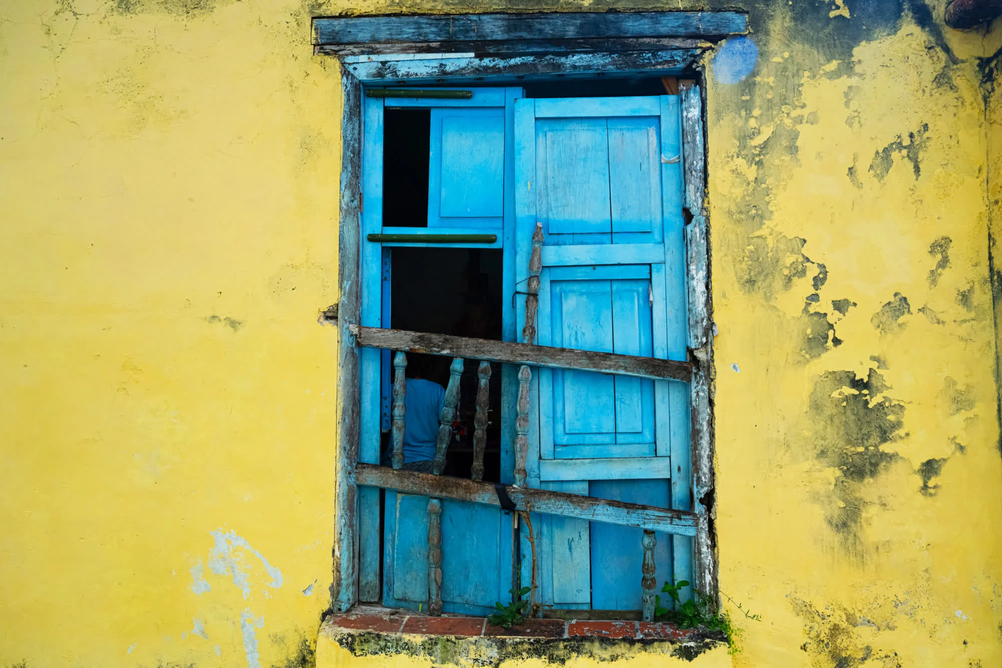 Tao of Cuba, 2025