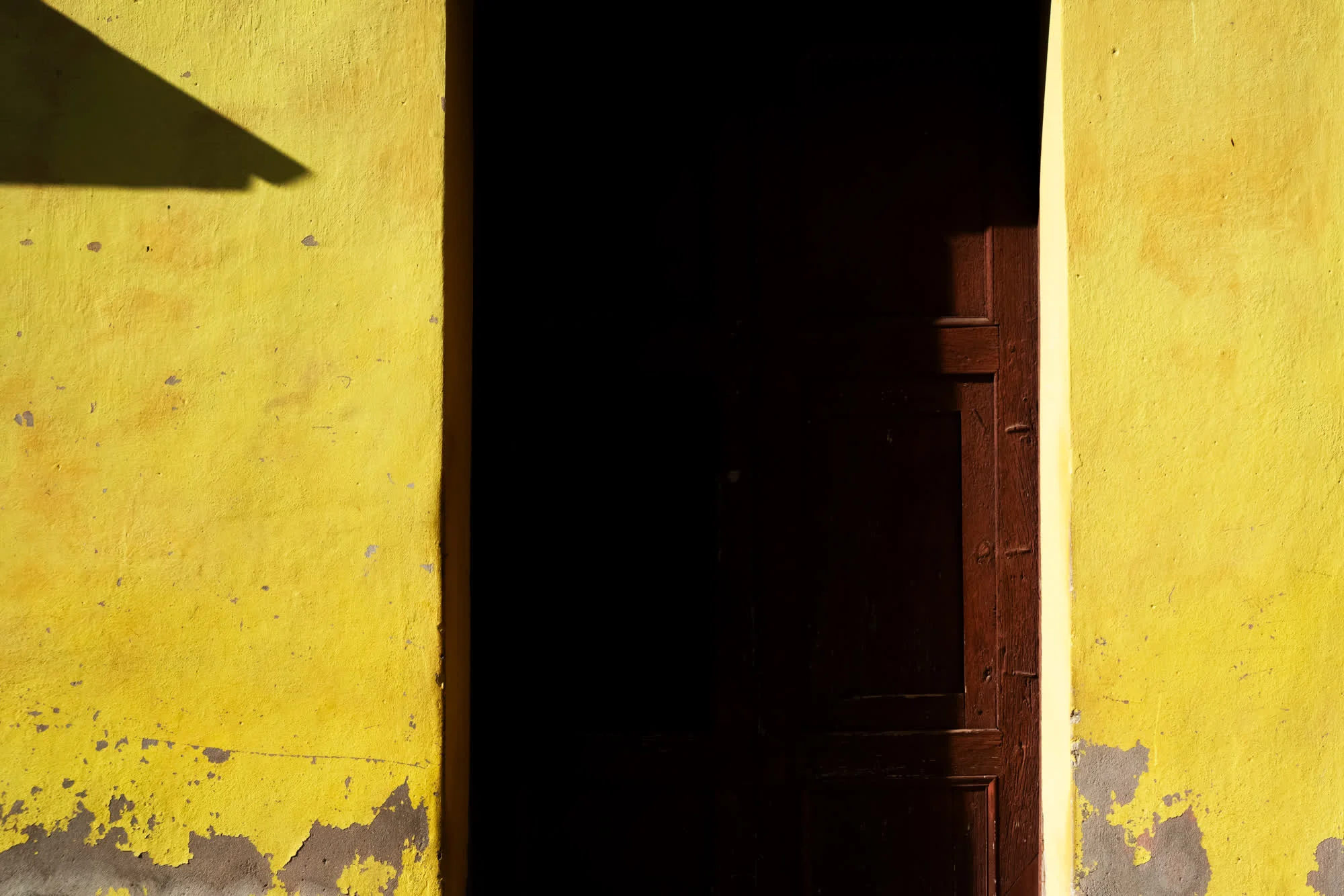 Tao of Cuba, 2025