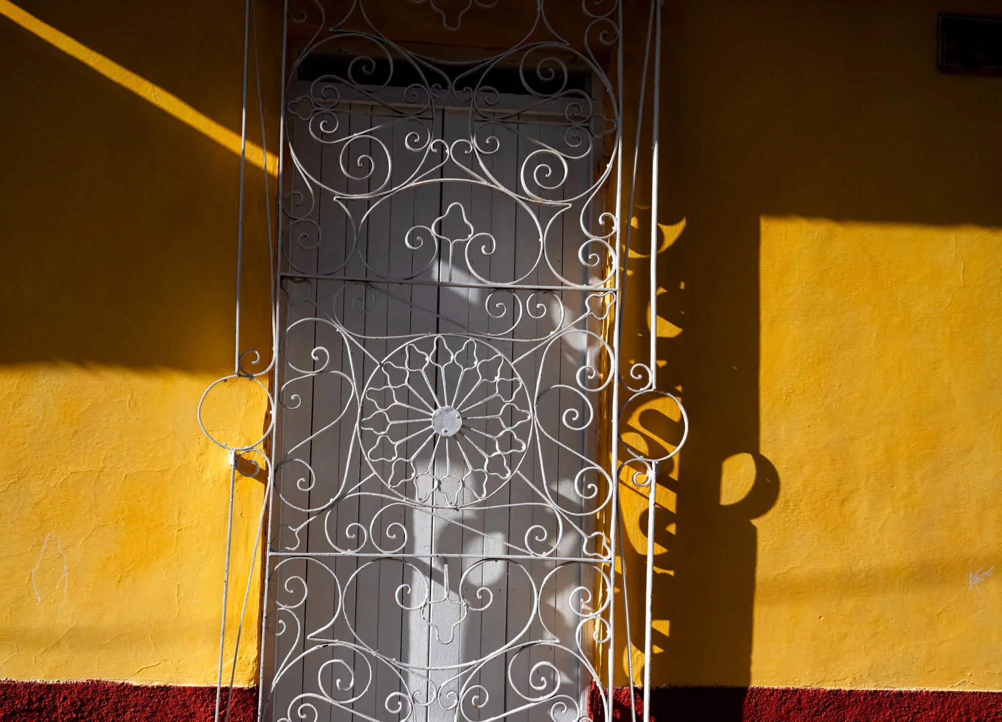 Tao of Cuba, 2025