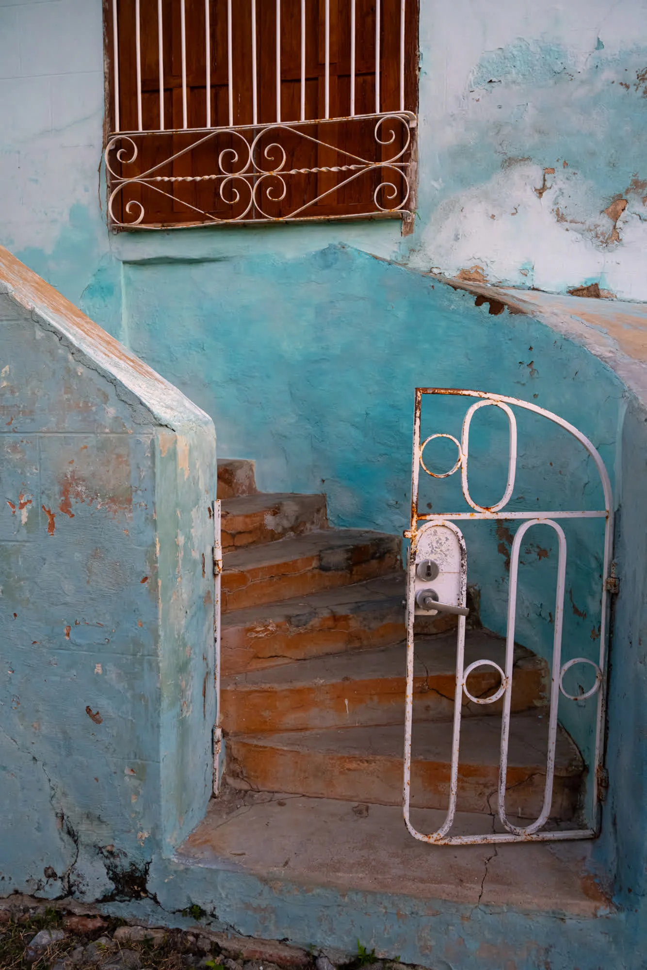 Tao of Cuba, 2025