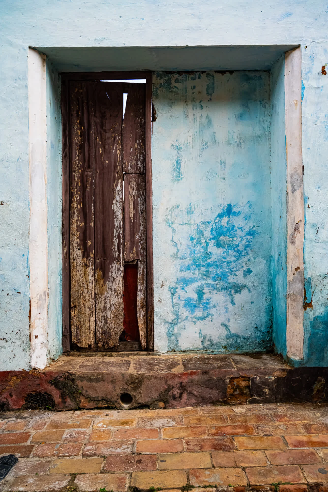Tao of Cuba, 2025