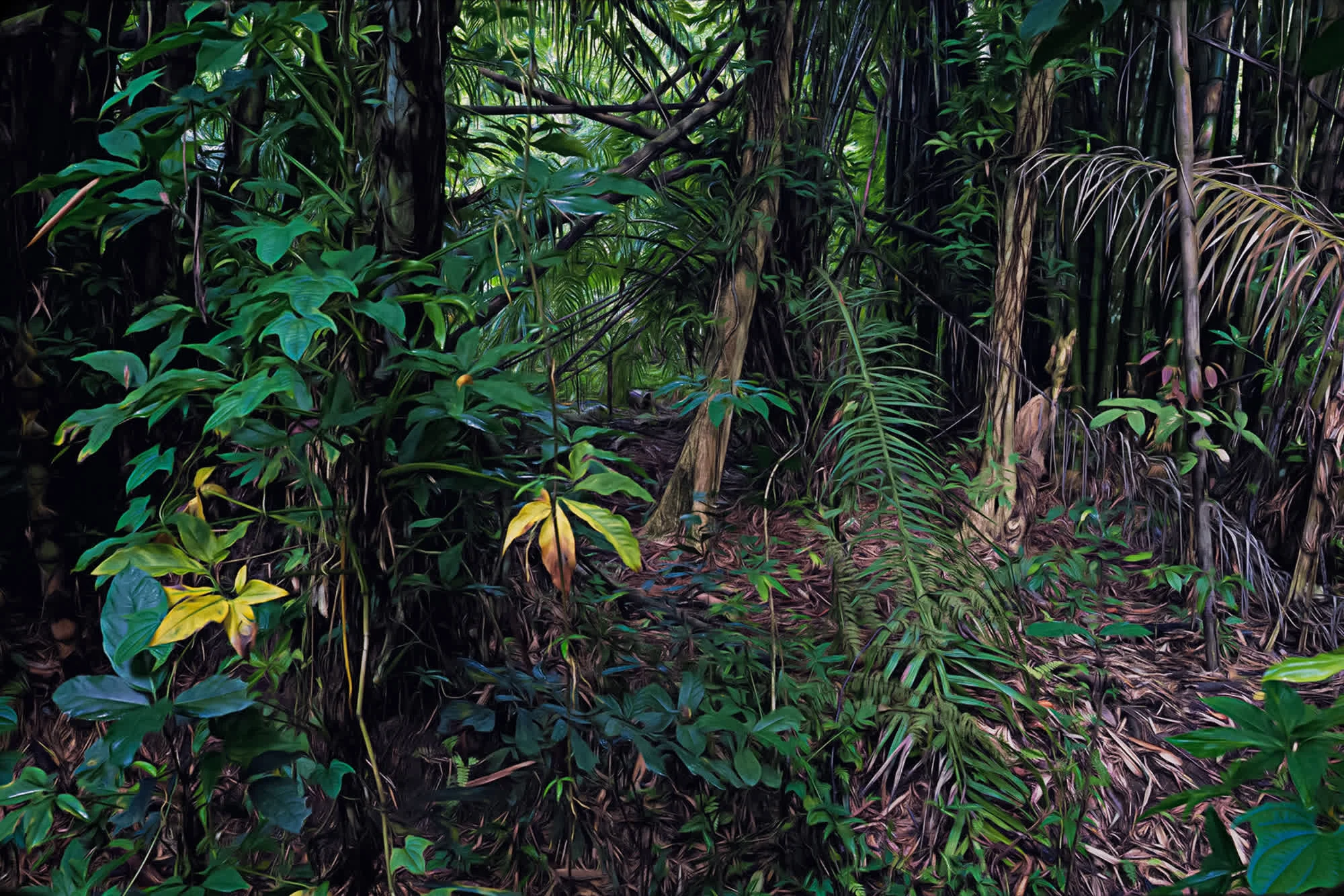 Zielnik, 2021